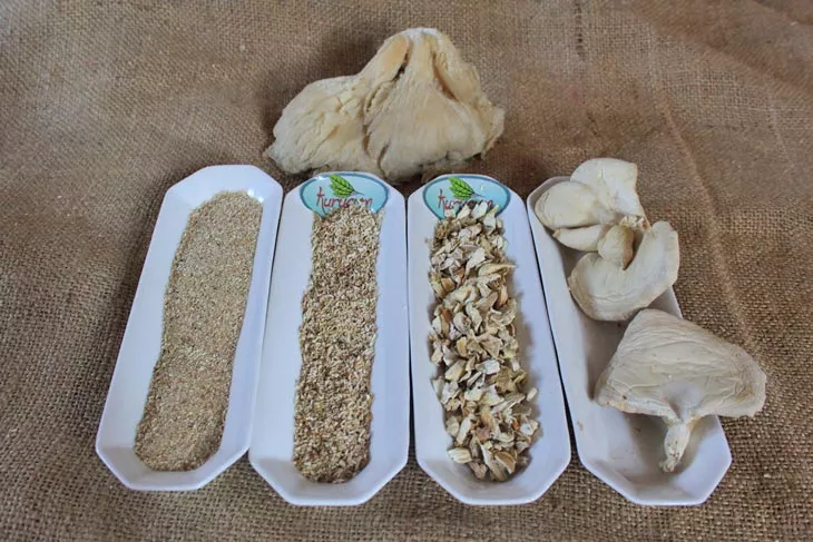 kuru istiridye mantarı-6